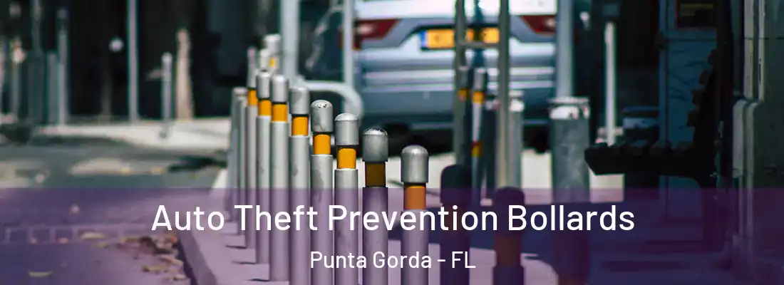 Auto Theft Prevention Bollards Punta Gorda - FL