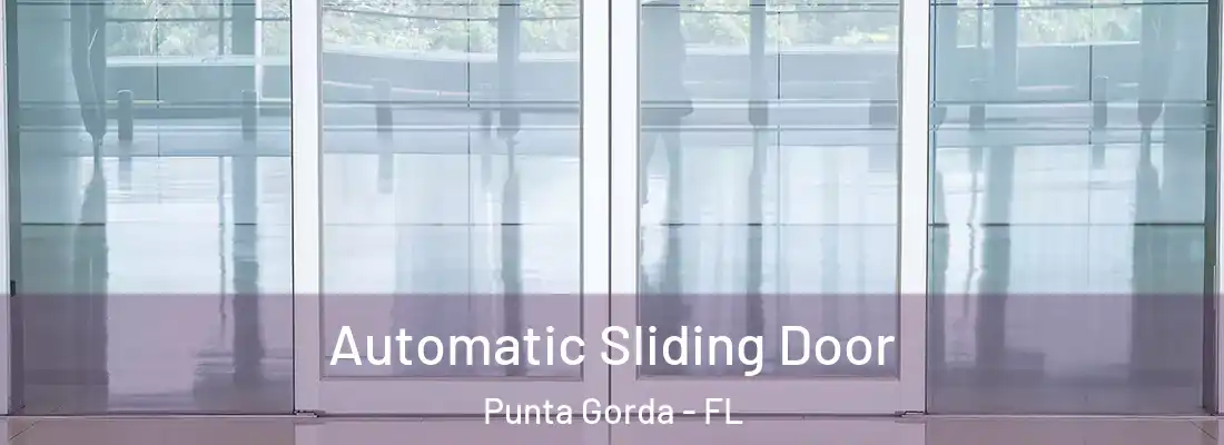 Automatic Sliding Door Punta Gorda - FL