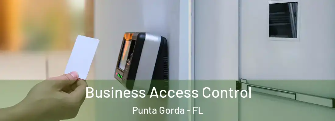 Business Access Control Punta Gorda - FL