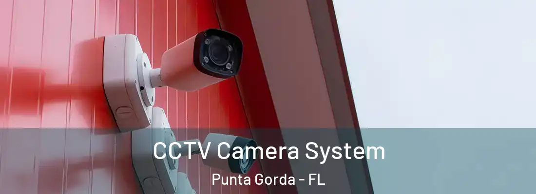 CCTV Camera System Punta Gorda - FL