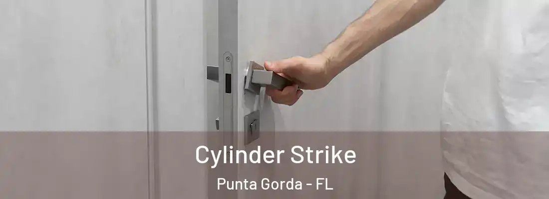 Cylinder Strike Punta Gorda - FL