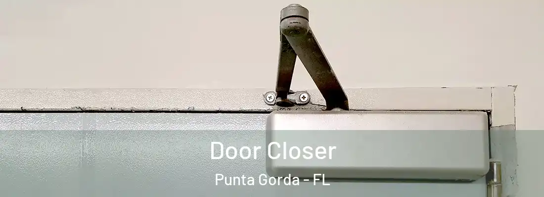 Door Closer Punta Gorda - FL
