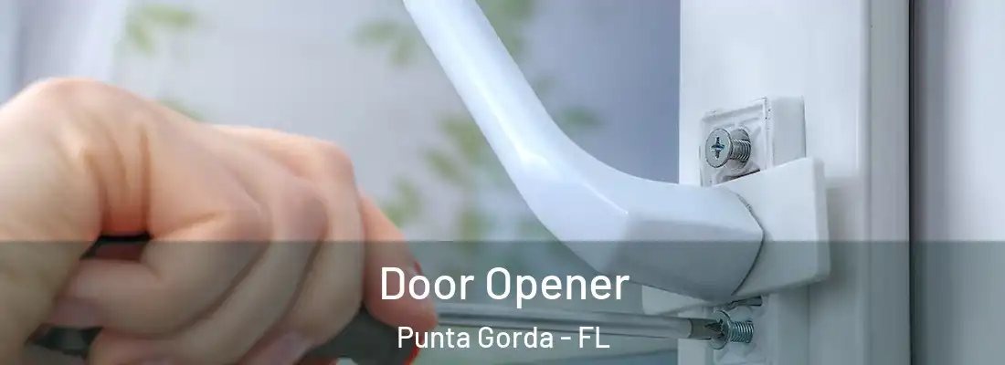 Door Opener Punta Gorda - FL