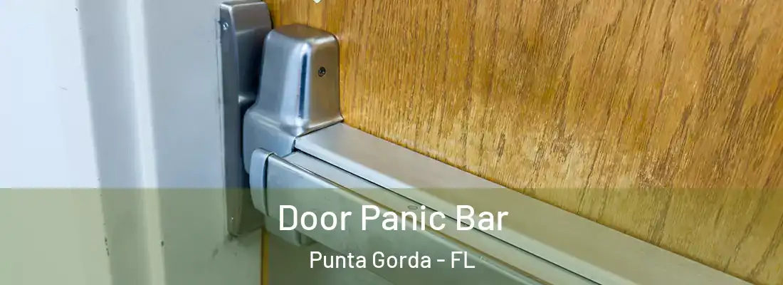 Door Panic Bar Punta Gorda - FL