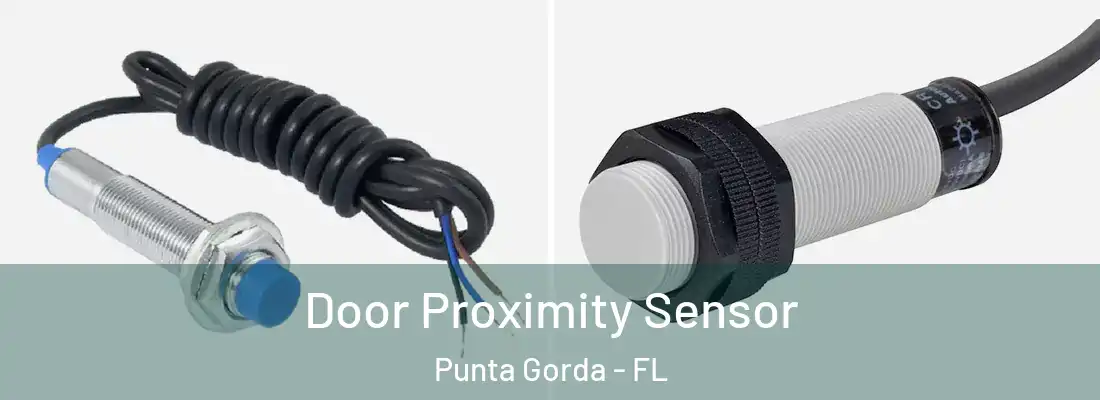 Door Proximity Sensor Punta Gorda - FL