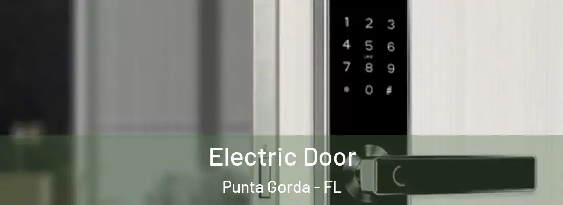 Electric Door Punta Gorda - FL