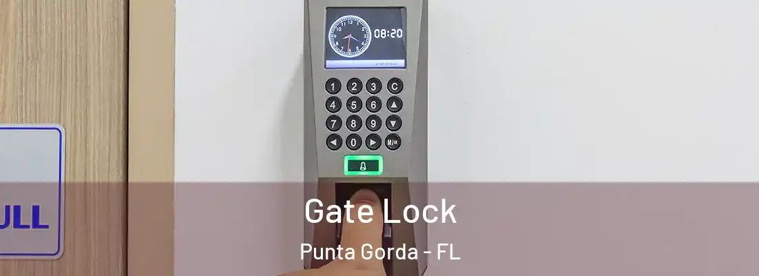 Gate Lock Punta Gorda - FL