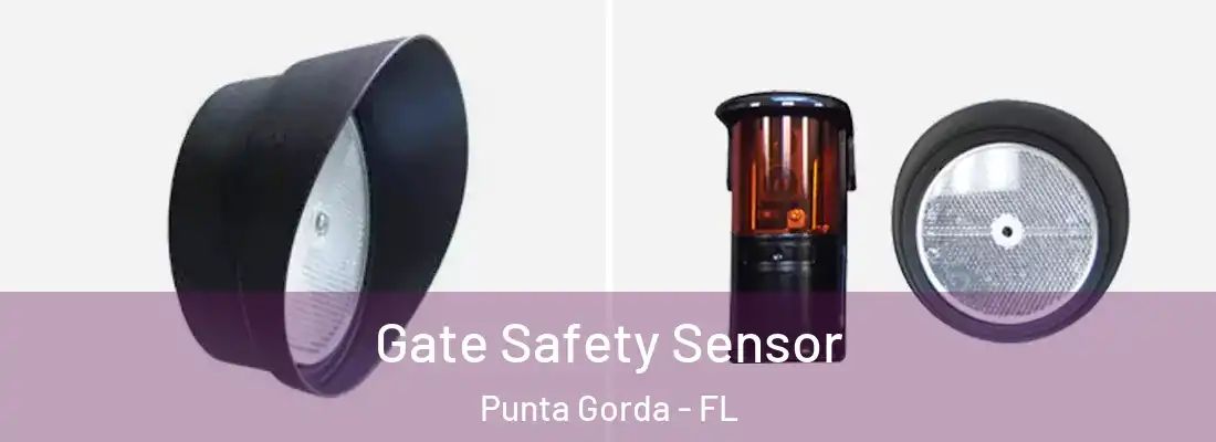 Gate Safety Sensor Punta Gorda - FL