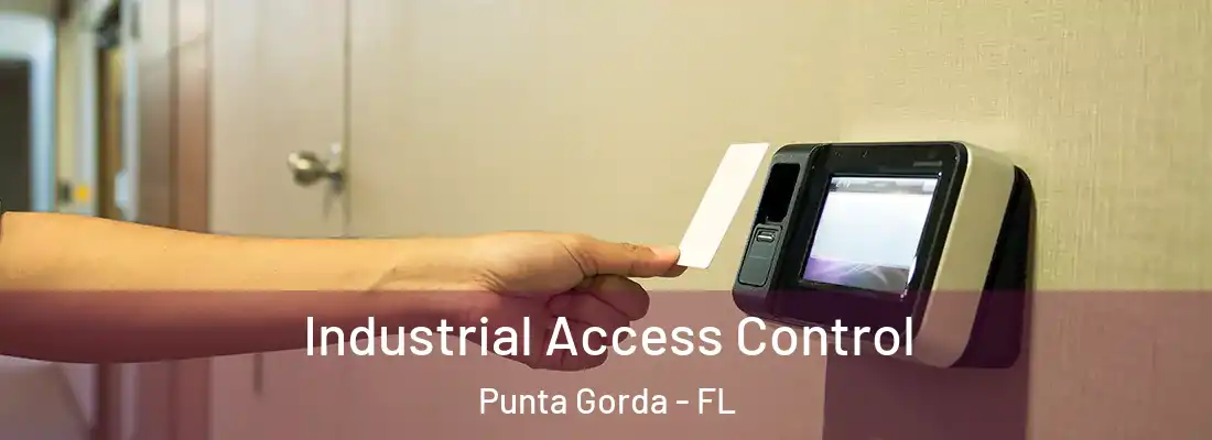 Industrial Access Control Punta Gorda - FL