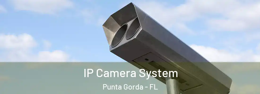 IP Camera System Punta Gorda - FL