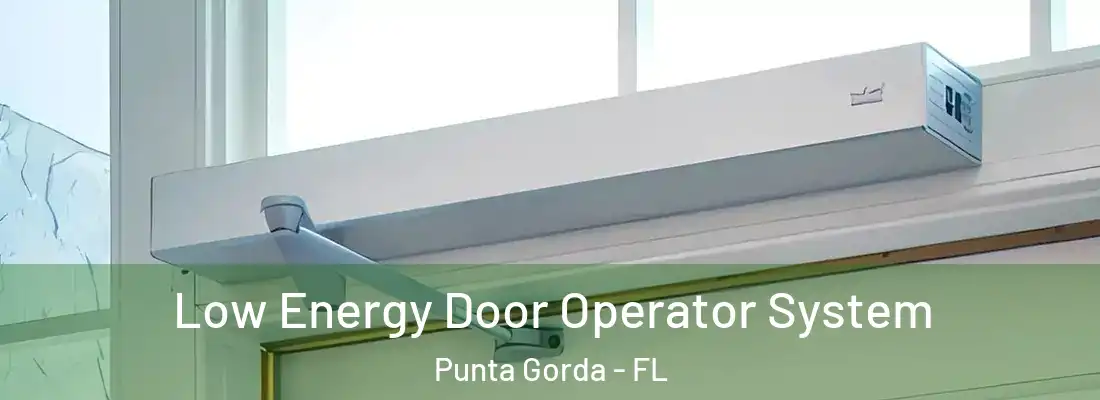 Low Energy Door Operator System Punta Gorda - FL