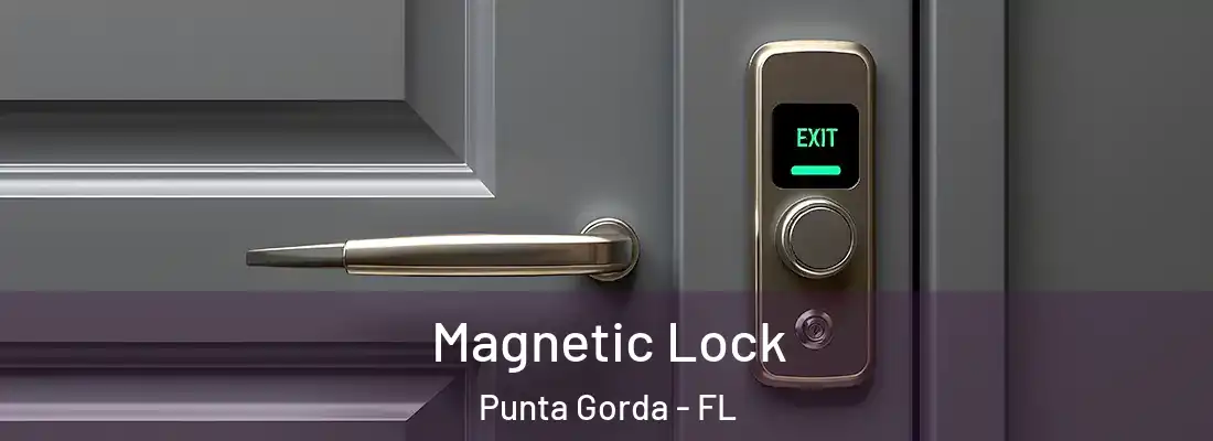 Magnetic Lock Punta Gorda - FL