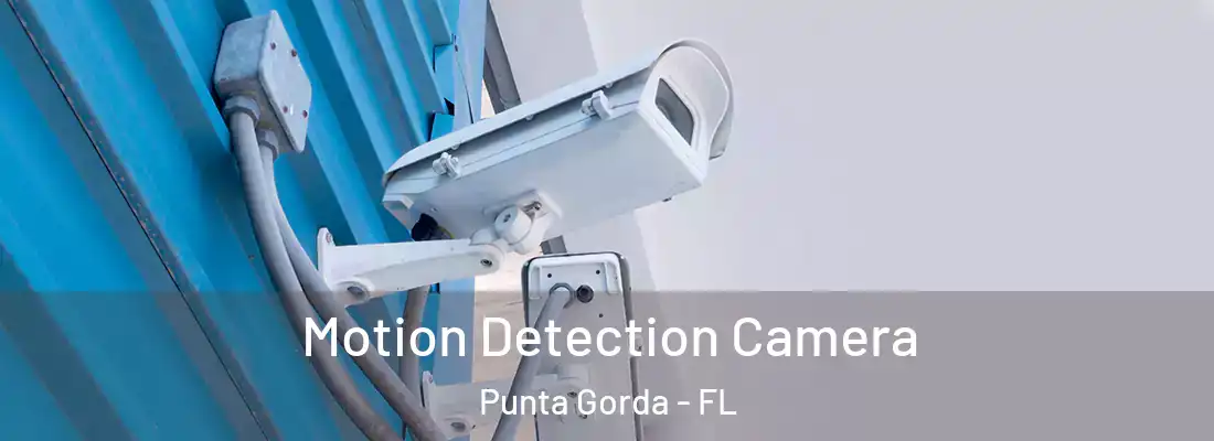 Motion Detection Camera Punta Gorda - FL