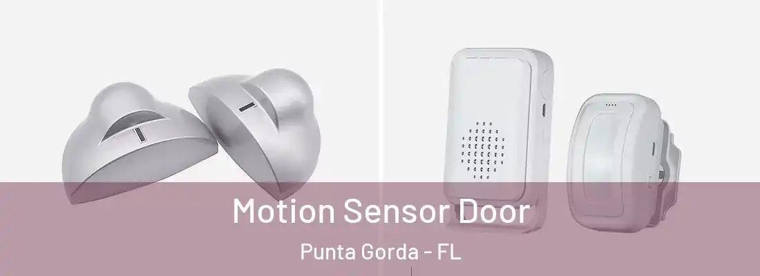 Motion Sensor Door Punta Gorda - FL