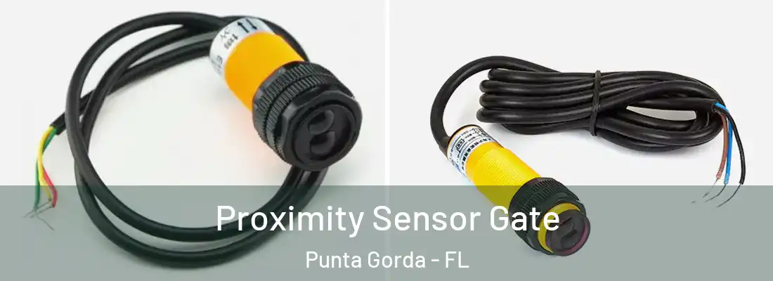 Proximity Sensor Gate Punta Gorda - FL