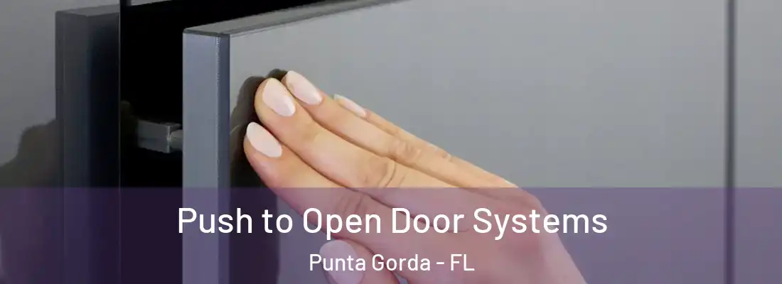 Push to Open Door Systems Punta Gorda - FL