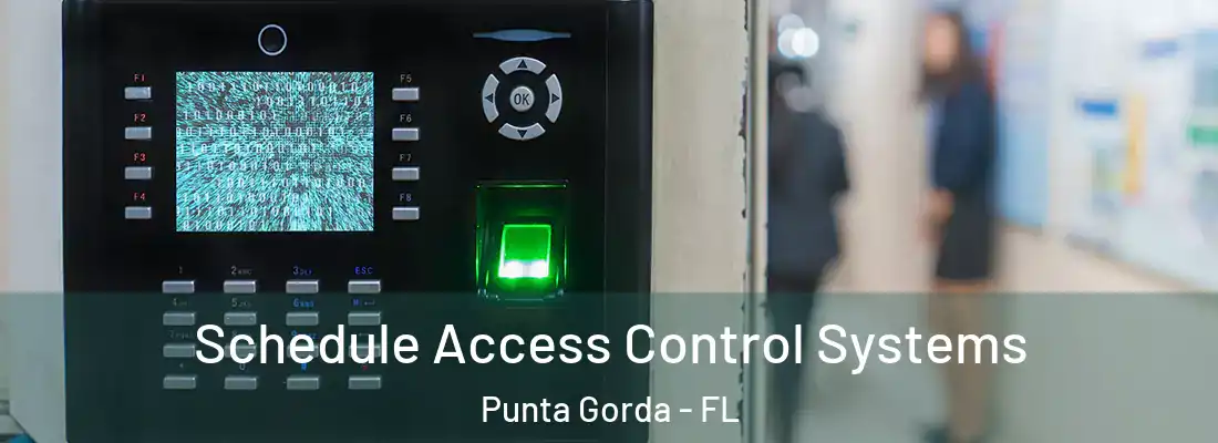 Schedule Access Control Systems Punta Gorda - FL