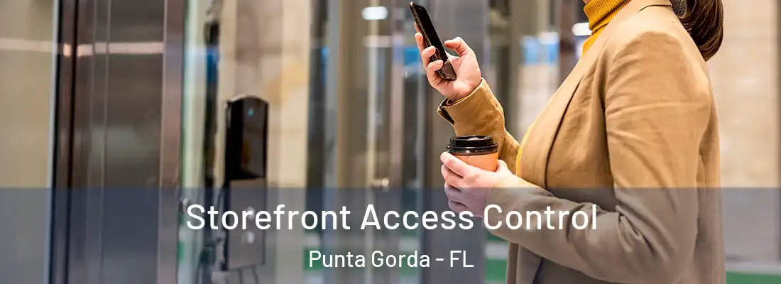 Storefront Access Control Punta Gorda - FL